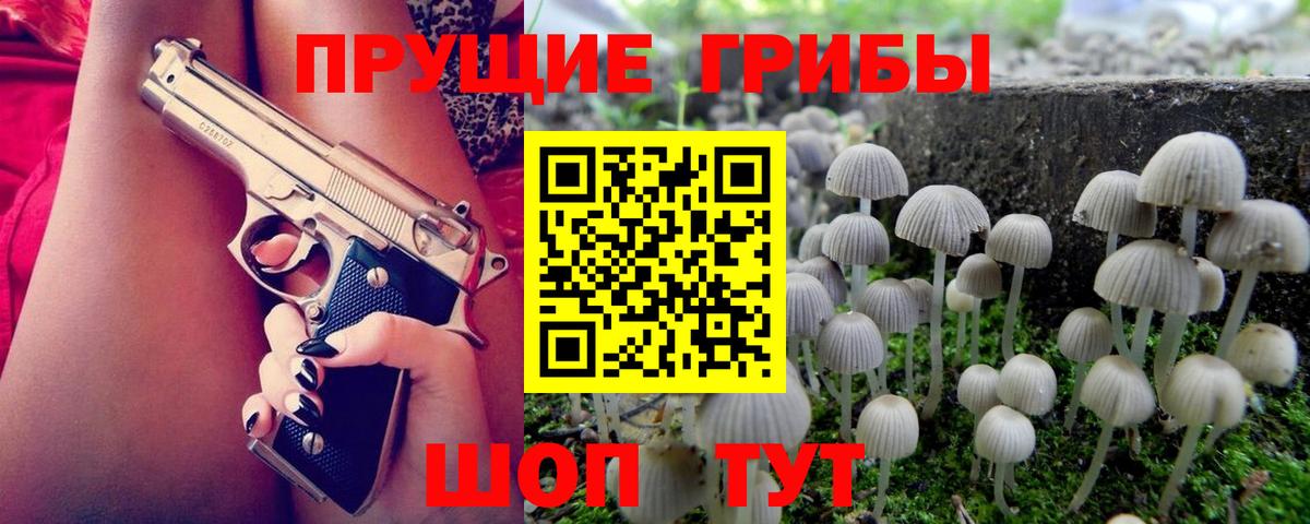 Псилоцибиновые грибы Cubensis  Вход с VPN  Магнитогорск 